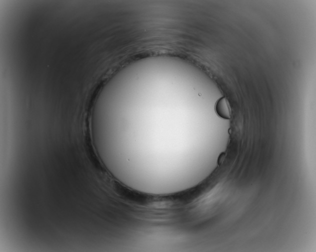 X0000090740746200707201013
