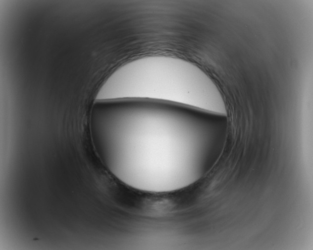 X0000090740747200707201013