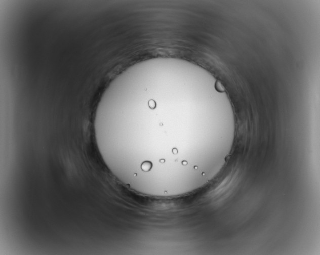 X0000090740749200707201013