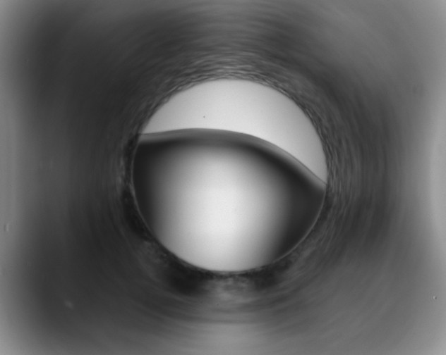 X0000090740752200707201013
