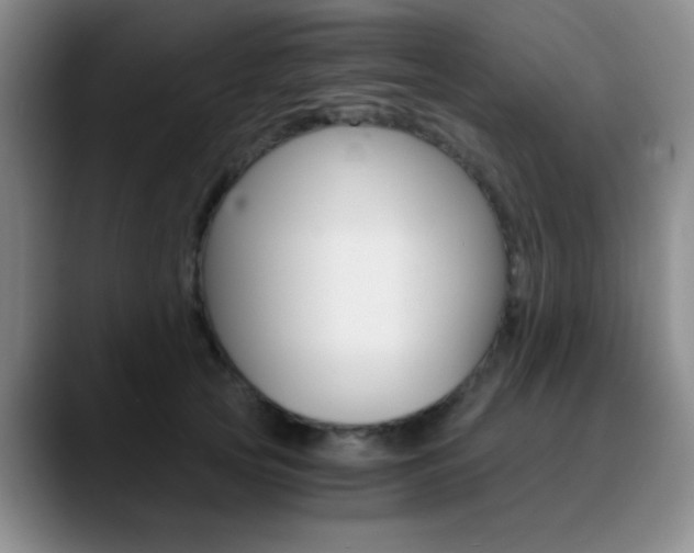 X0000090740753200707201013