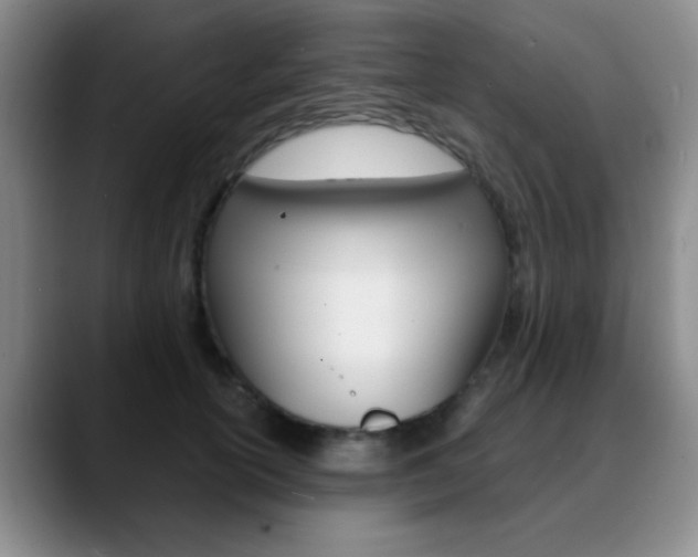 X0000090740754200707201013
