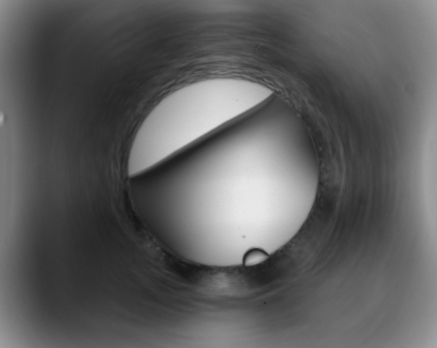 X0000090740755200707201013