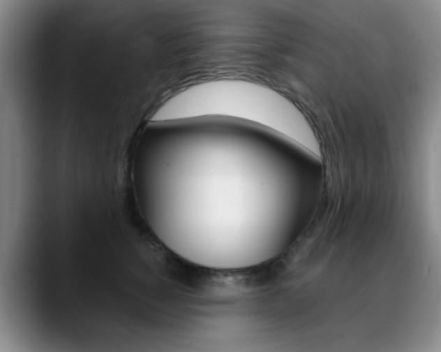 X0000090740760200707201013