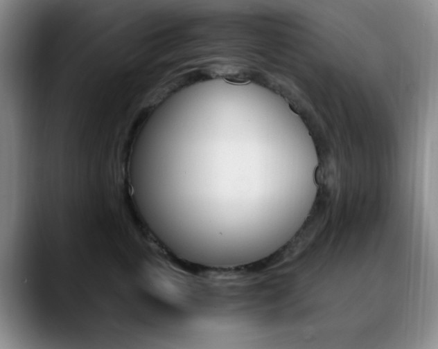 X0000090740763200707201013