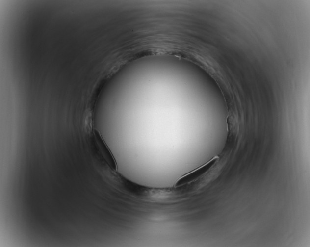 X0000090740766200707201013