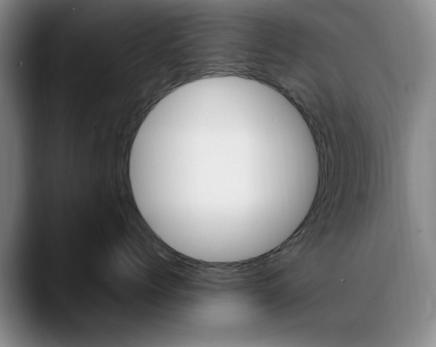 X0000090740768200707201013