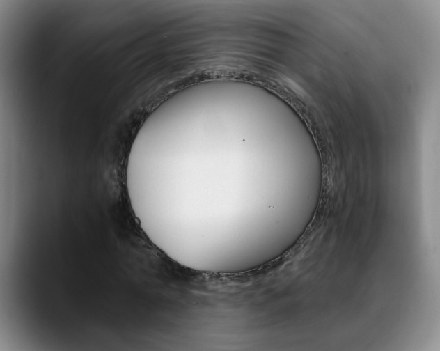 X0000090740774200707201012