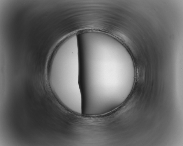 X0000090740780200707201012
