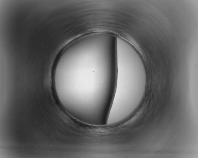 X0000090740787200707201012