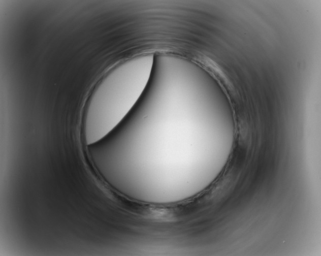 X0000090740794200707201012