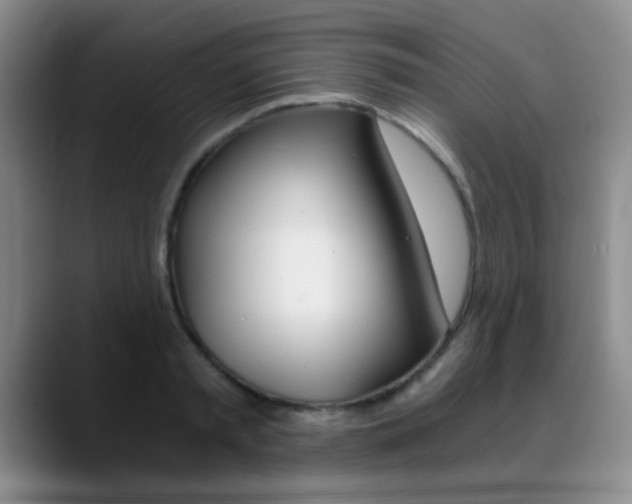 X0000090740797200707201012