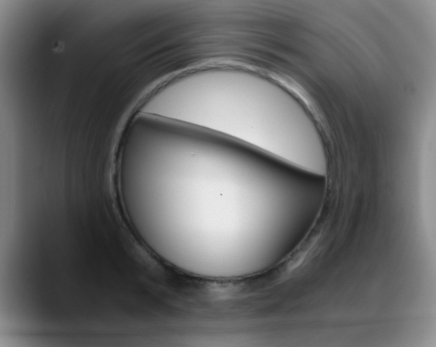 X0000090740799200707201012