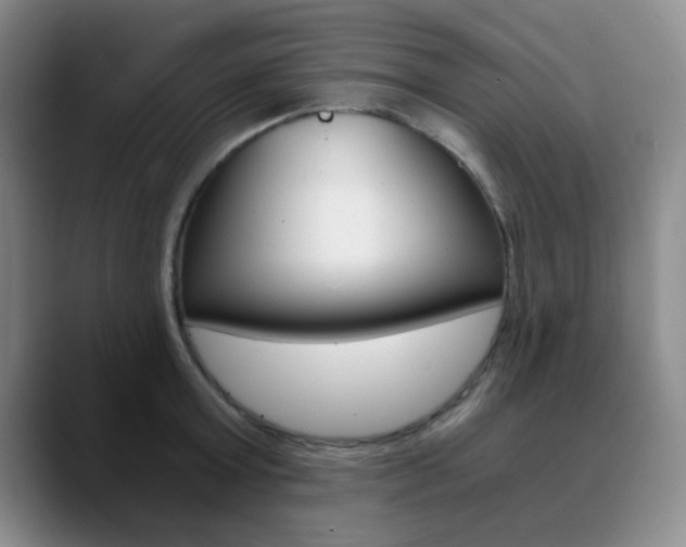 X0000090740803200707201012