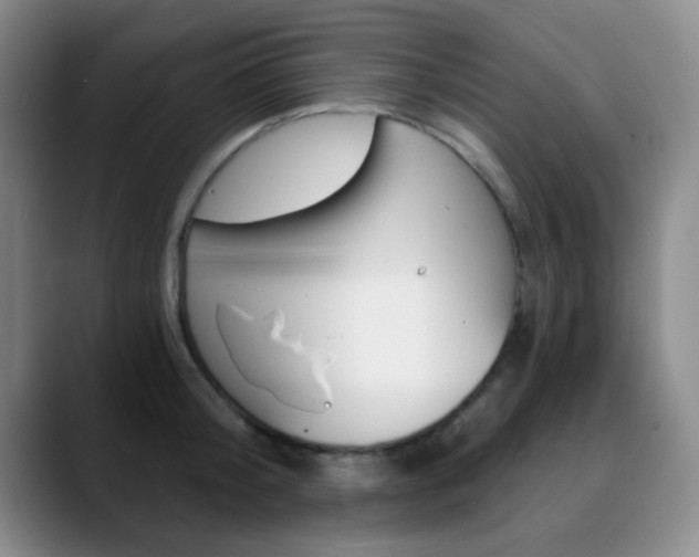 X0000090740804200707201012