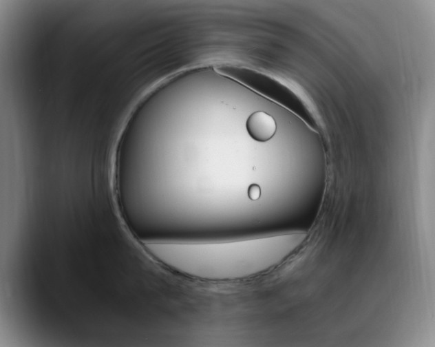 X0000090740815200707201012