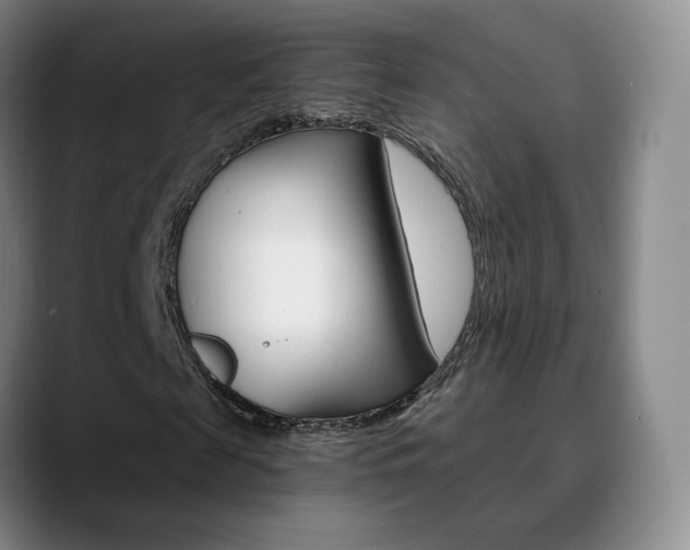 X0000090740817200707201011