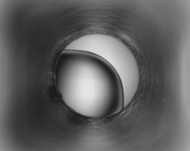 X0000090740822200707201011