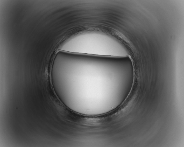 X0000090740825200707201011