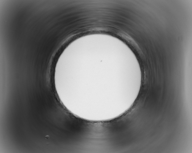 X0000090740828200707201011