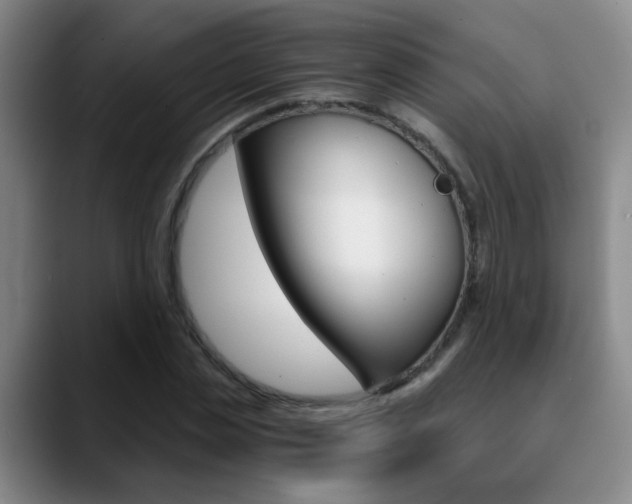 X0000090740829200707201011