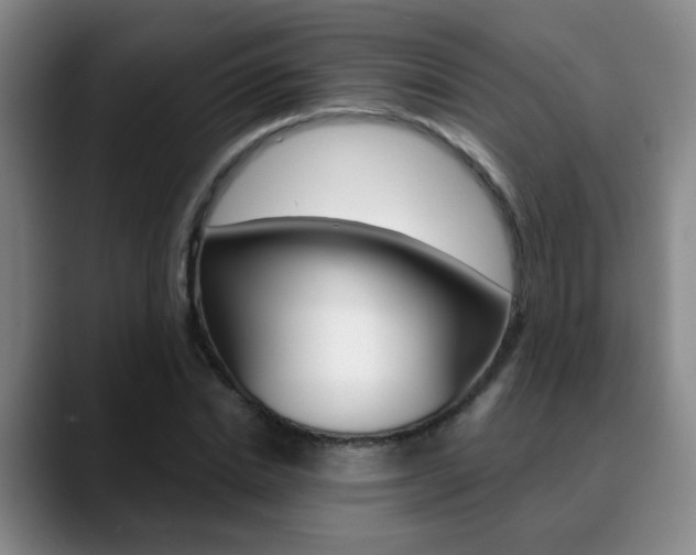 X0000090740830200707201011