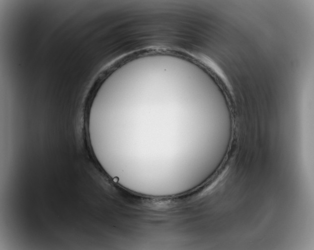 X0000090740831200707201012