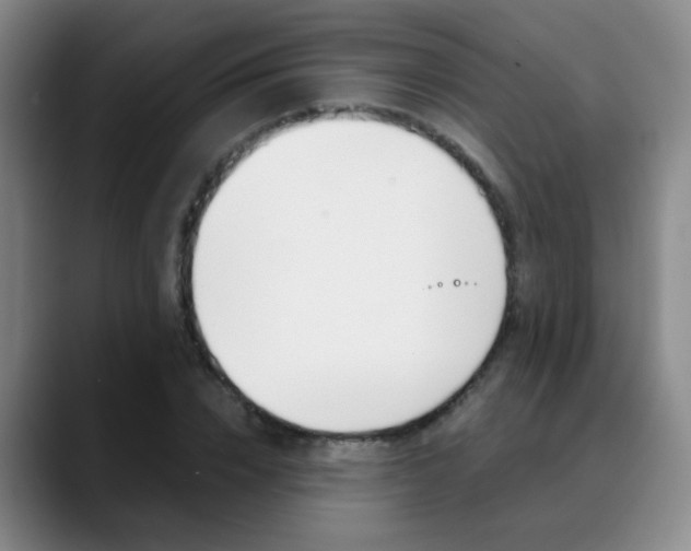 X0000090740832200707201012