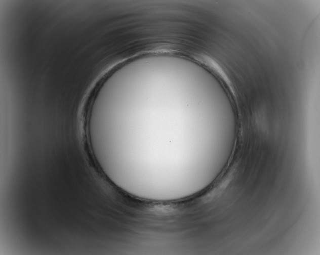 X0000090740835200707201012