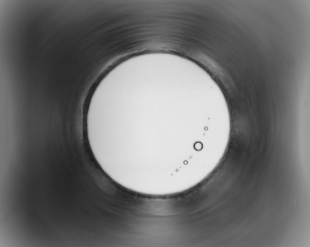 X0000090740836200707201012