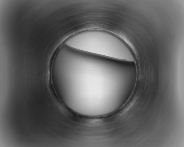 X0000090740837200707201012