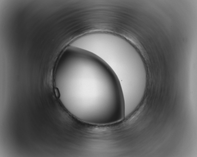 X0000090740842200707201012