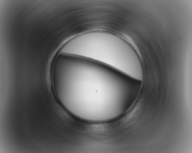 X0000090740843200707201012