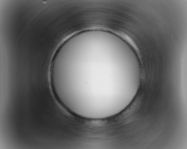 X0000090740847200707201012