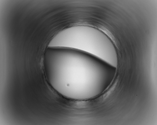 X0000090740849200707201012