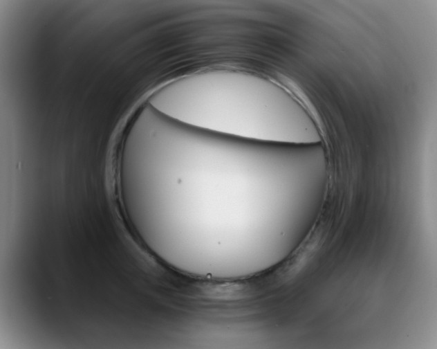 X0000090740851200707201012