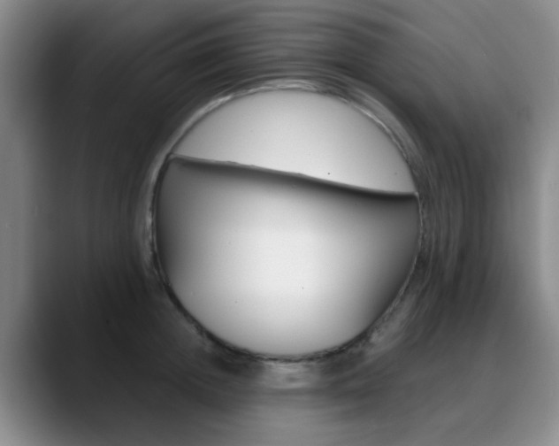 X0000090740852200707201012