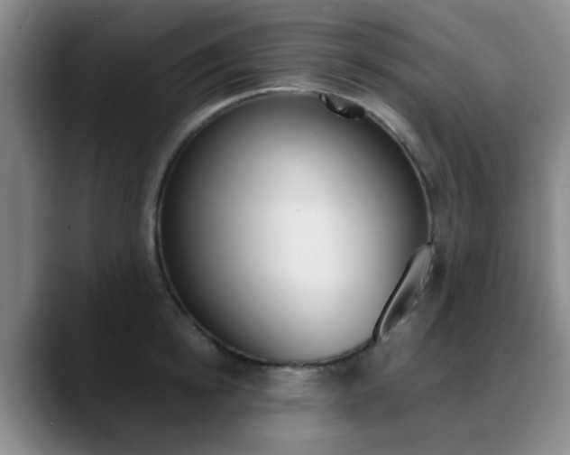 X0000090740854200707201012