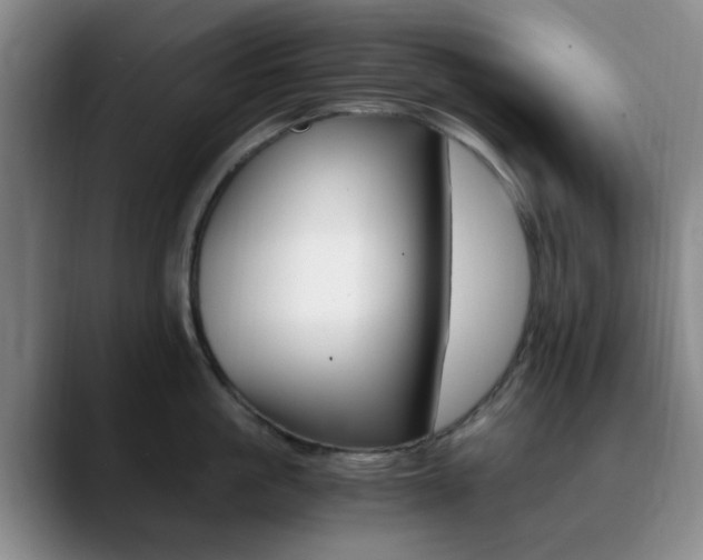 X0000090740861200707201012