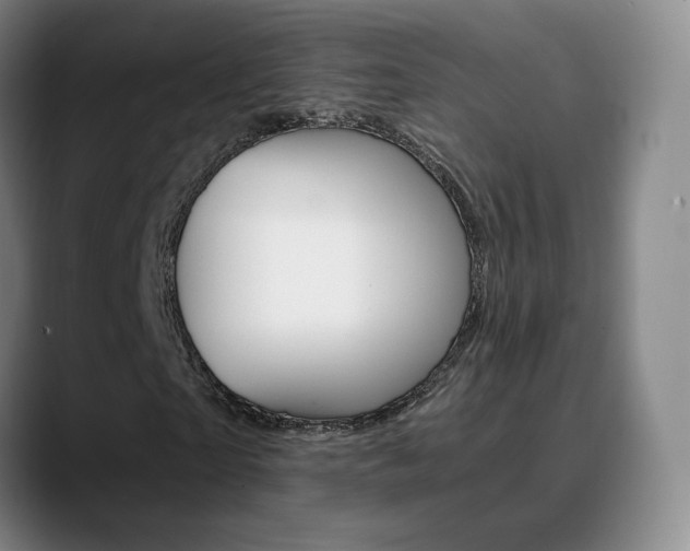 X0000090740865200707201011