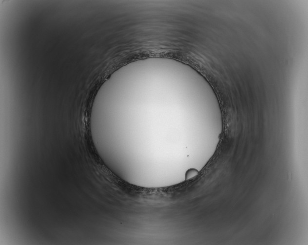 X0000090740866200707201011