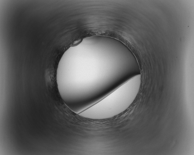 X0000090740867200707201011