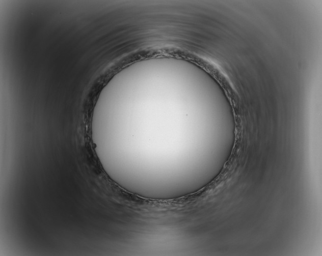 X0000090740871200707201011