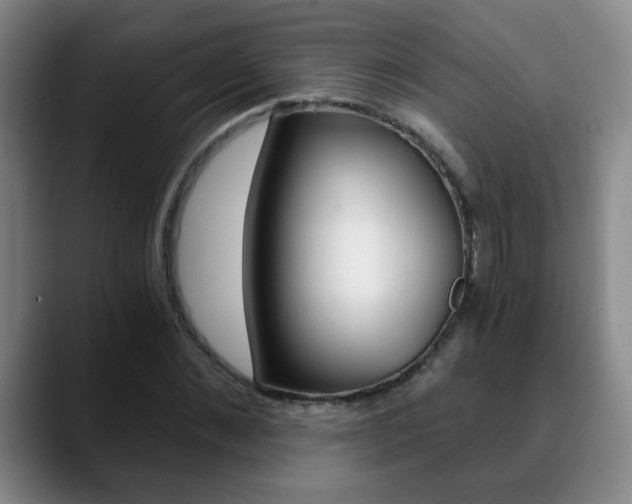 X0000090740876200707201011