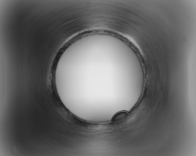 X0000090740879200707201011