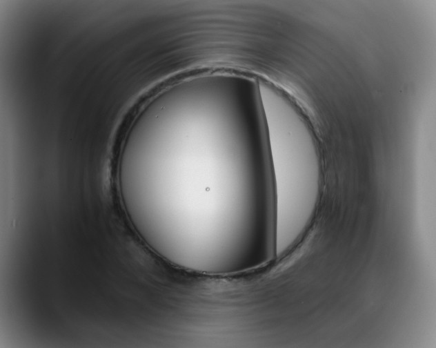 X0000090740880200707201011