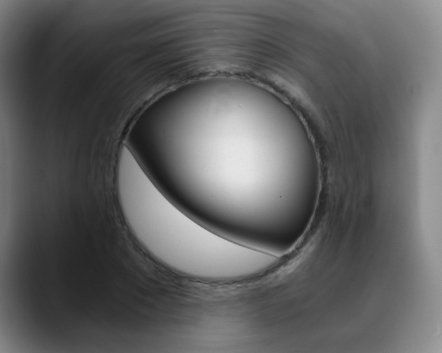 X0000090740881200707201011