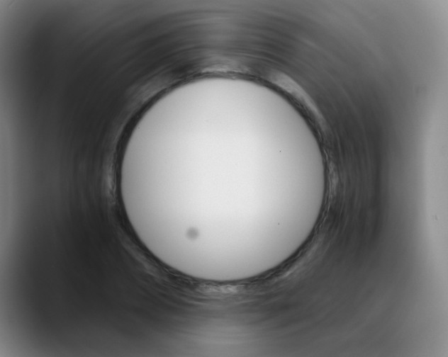 X0000090740882200707201011
