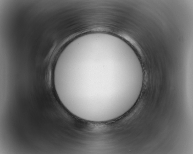 X0000090740886200707201011