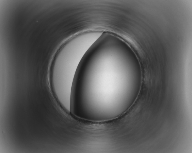 X0000090740888200707201011